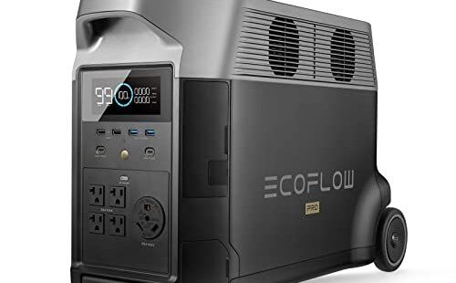 EcoFlow Delta 2 Pro